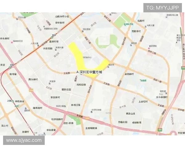 杭州乒乓球队实力深度解析与对比分析全景展现